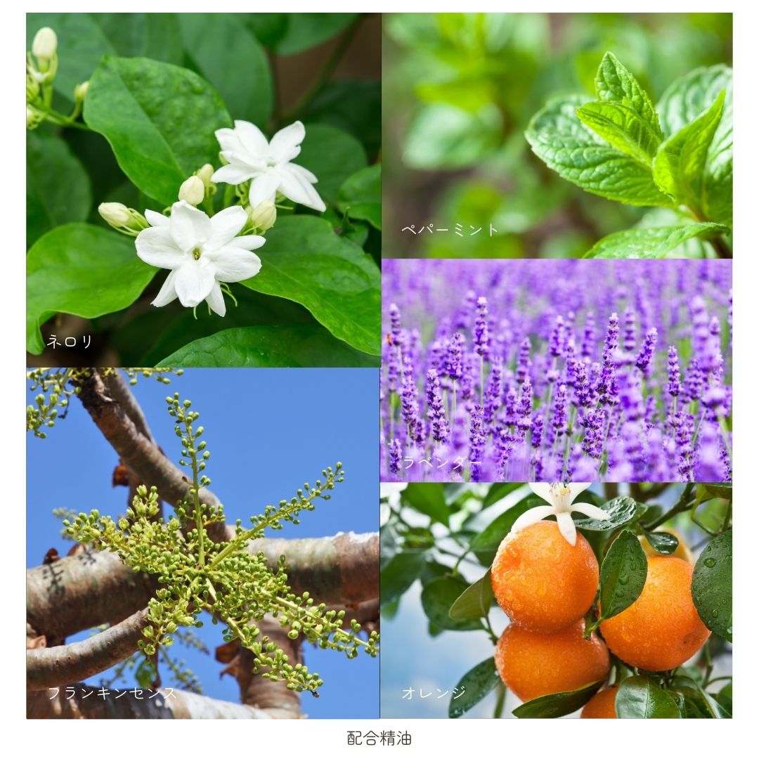 【無くなり次第終了】メリッサボーテ オーガニックフェイシャルオイル02