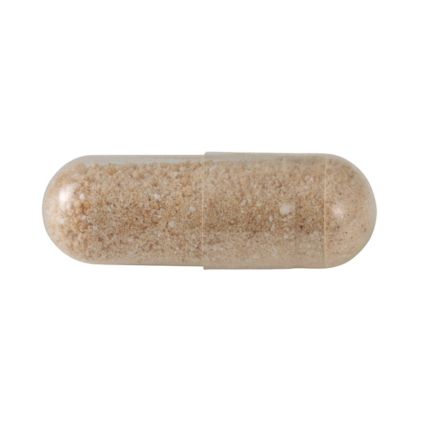 ◇N キナーゼ(一般販売価格)