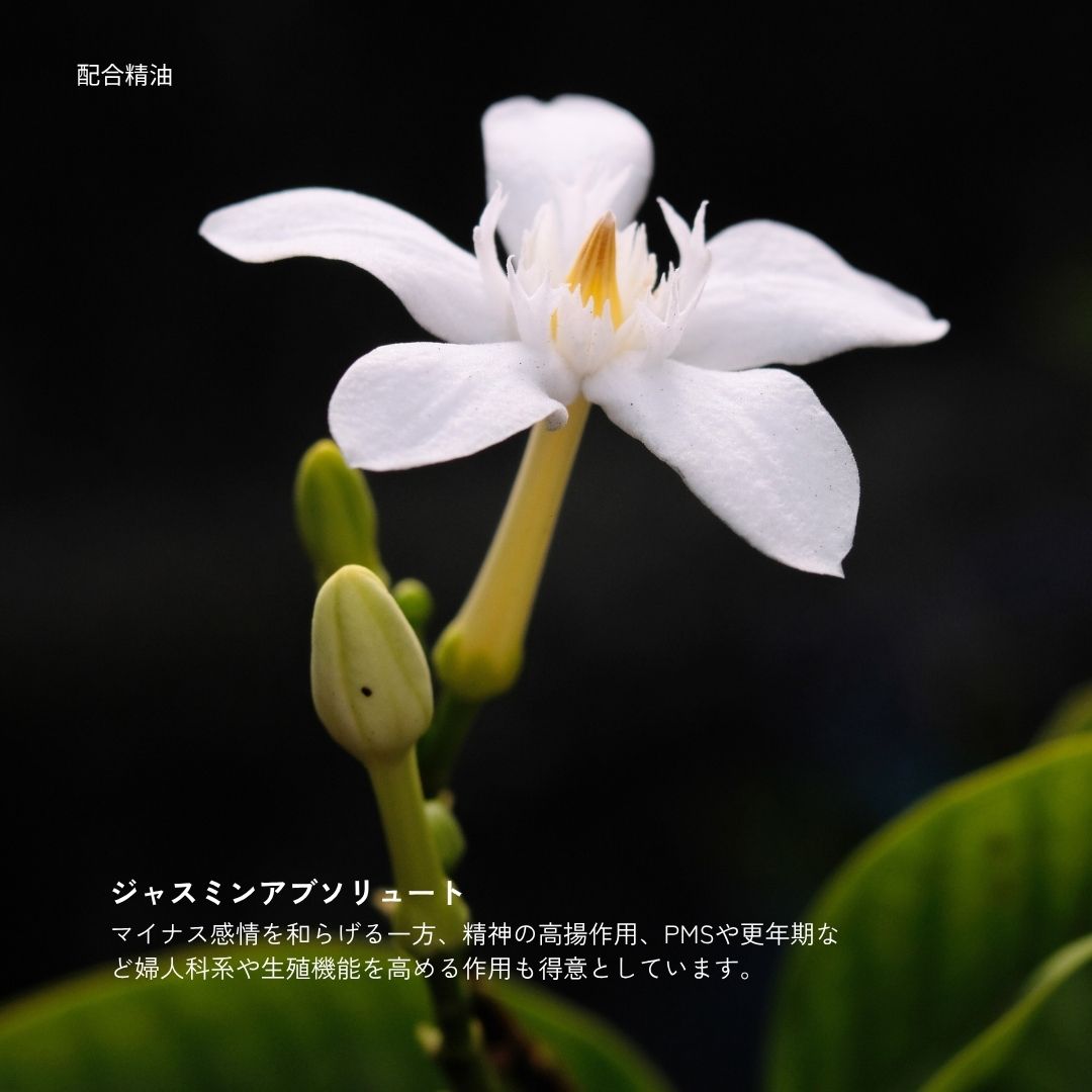 メリッサボーテ ソーラーポイントオイル 20mL