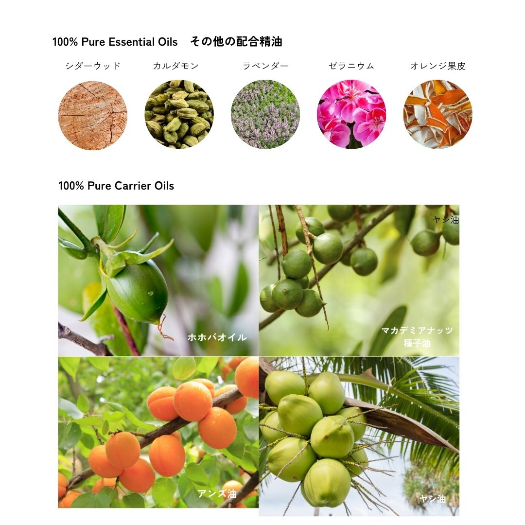 メリッサボーテ ソーラーポイントオイル 20mL