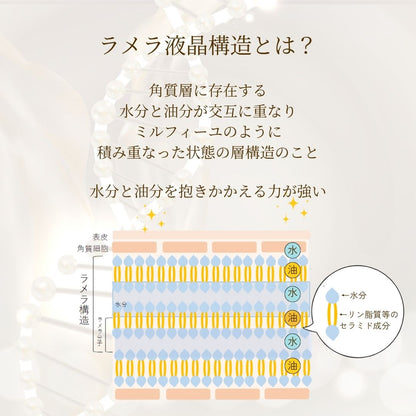 メリッサボーテ ラメラSコンセントレート