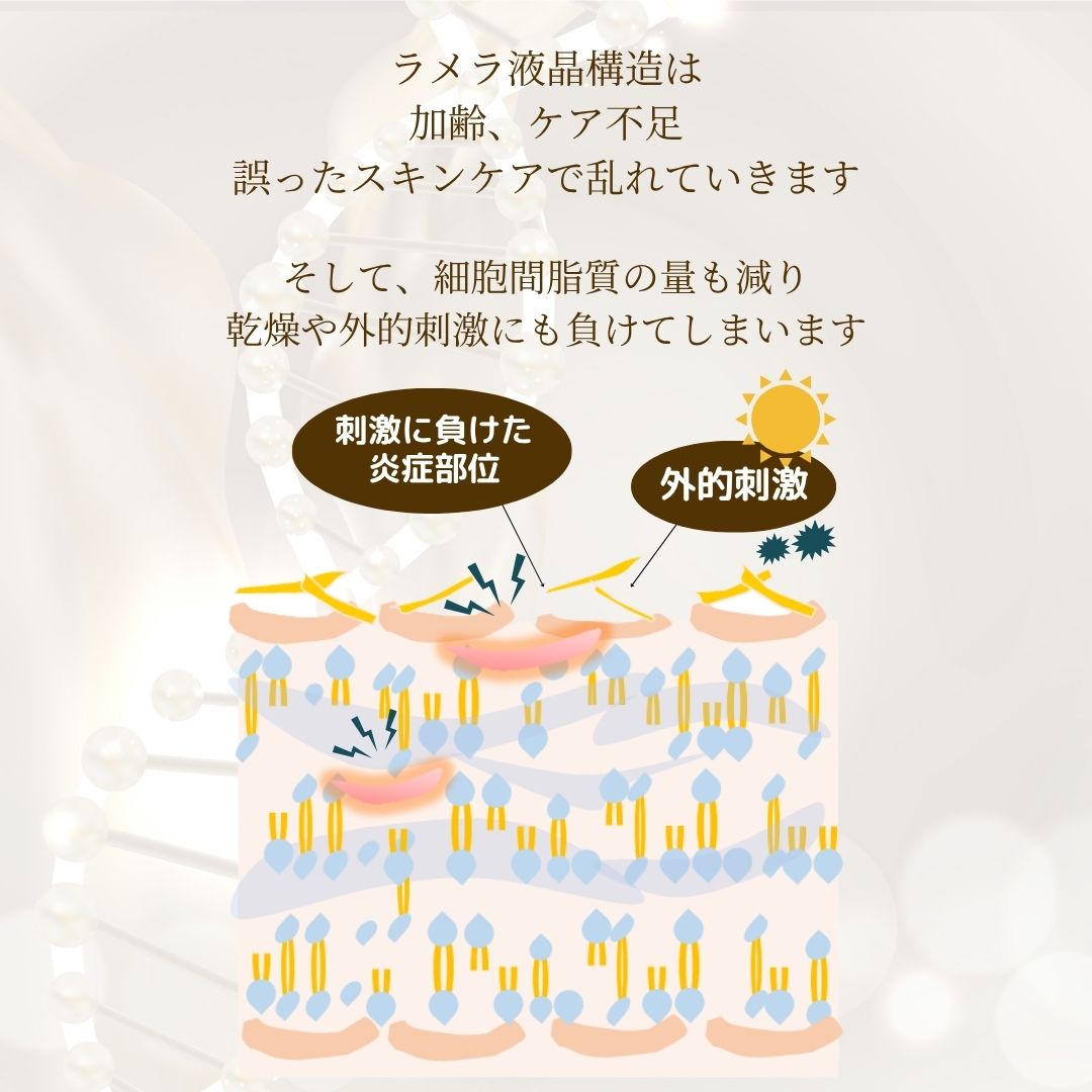 メリッサボーテ ラメラSコンセントレート