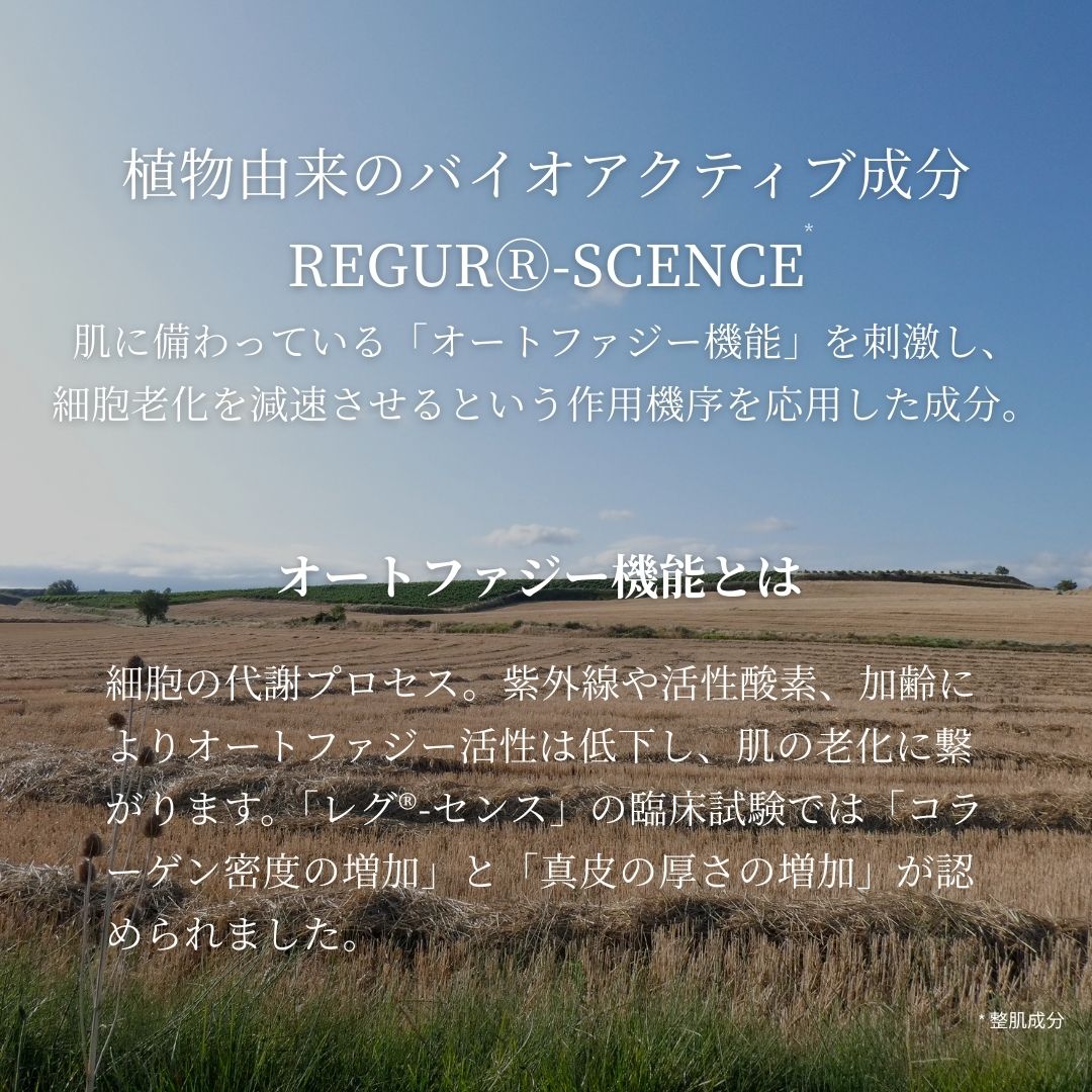 メリッサボーテ　リッチモイストクリーム（抗シワ&高保湿）