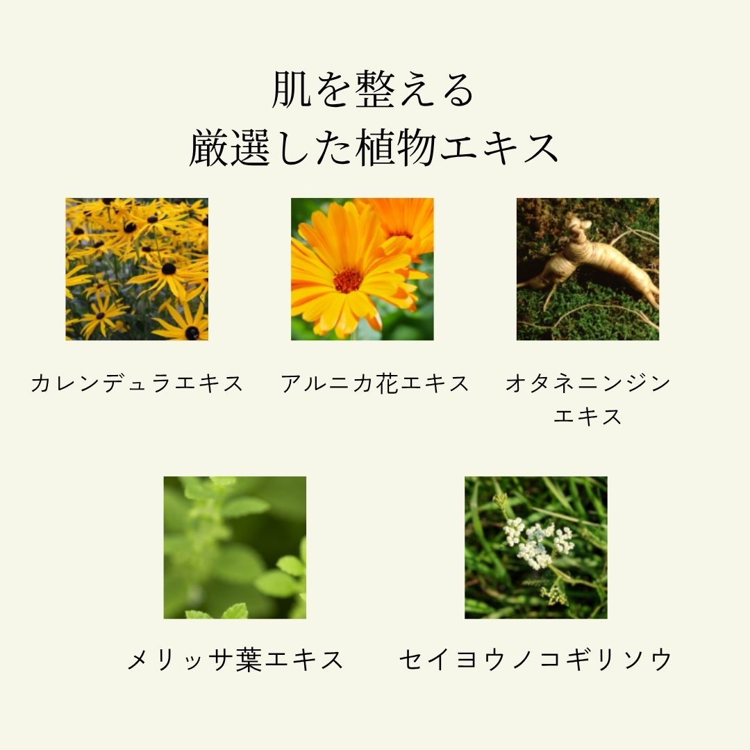 メリッサボーテ　アミノクレンジングミルク