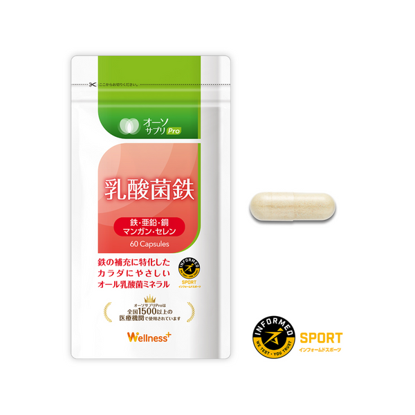 乳酸菌鉄（60粒）